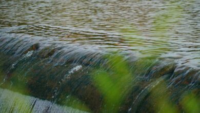 Taking charge for cleaner waters