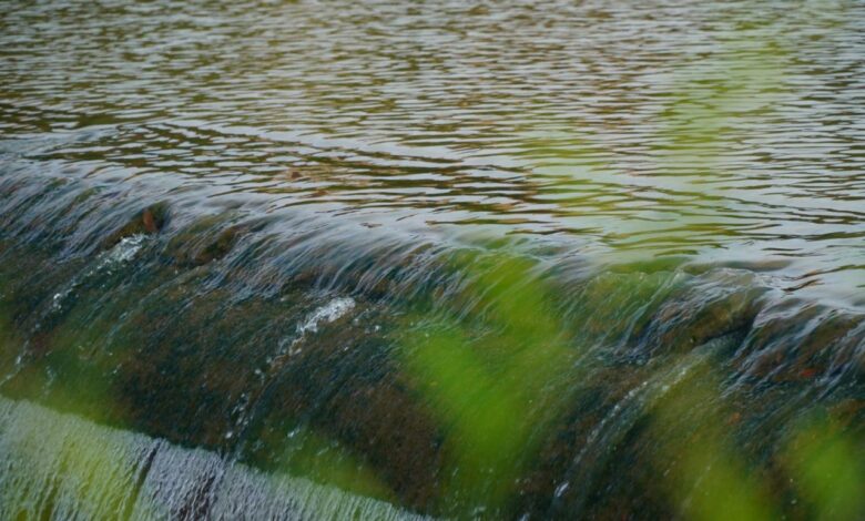 Taking charge for cleaner waters
