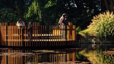 Forever finds a forever home in village of hobart