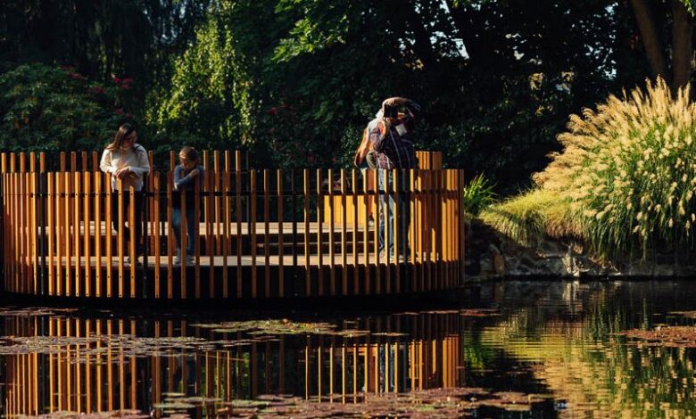 Forever finds a forever home in village of hobart
