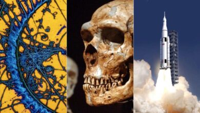 85 years of solving clients biggest scientific and engineering challenges