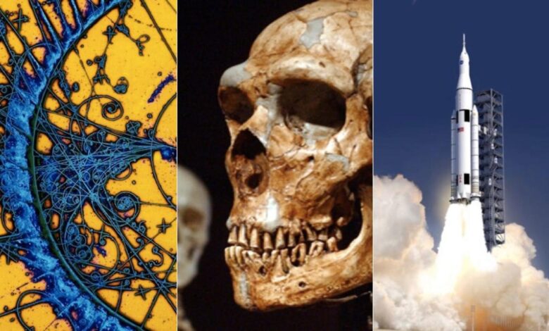 85 years of solving clients biggest scientific and engineering challenges