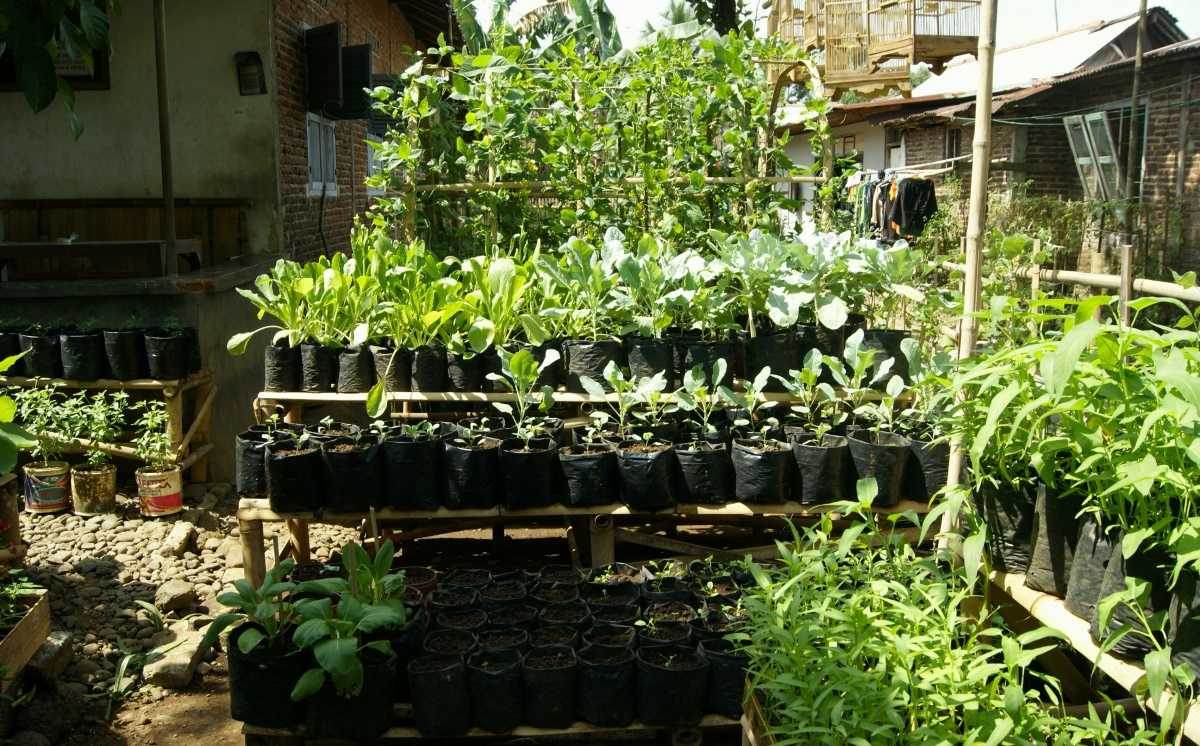 Family farm focuses on genetics sustainability and conservation
