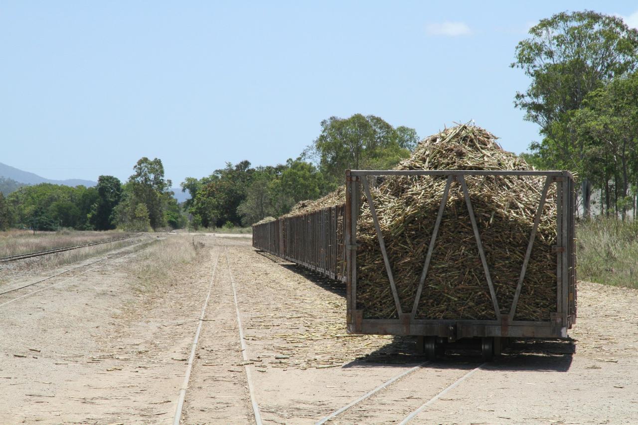 Family farm focuses on genetics sustainability and conservation
