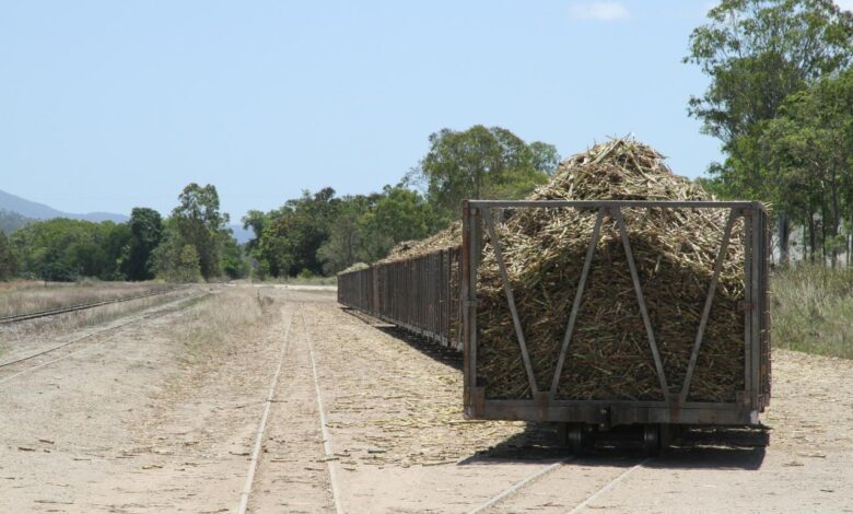 Family farm focuses on genetics sustainability and conservation