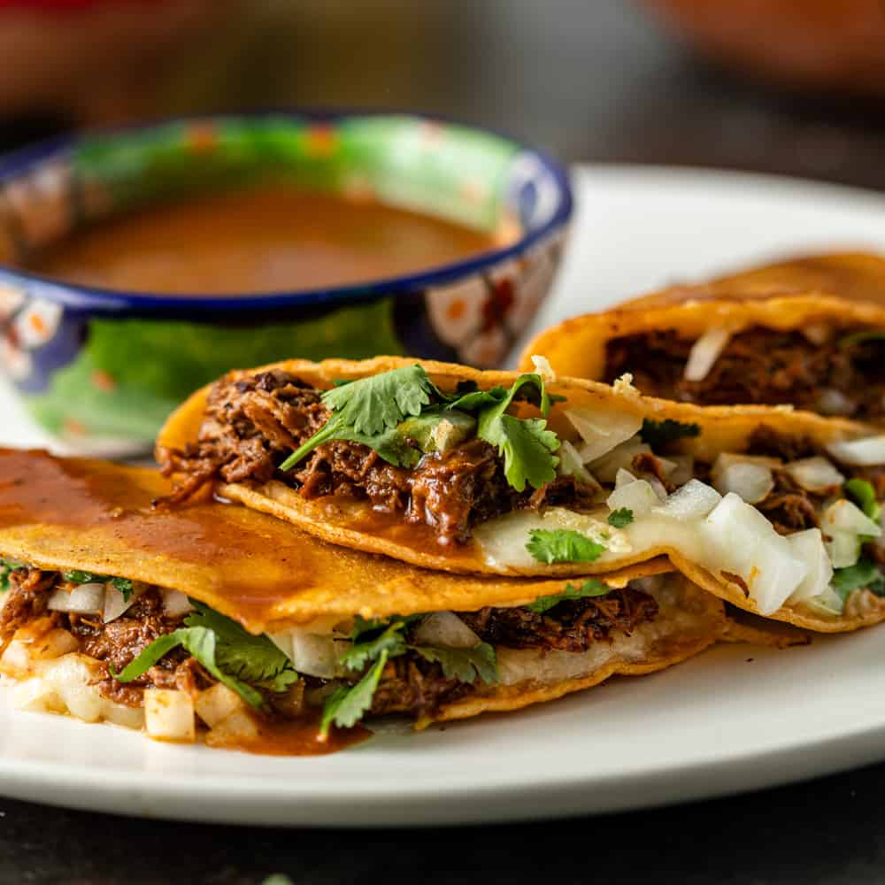 La carreta owners bring birria to green bays west side