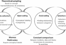 Firm roots in the past with an eye on the future