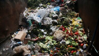 De pere greener bay compost team up to fight food waste