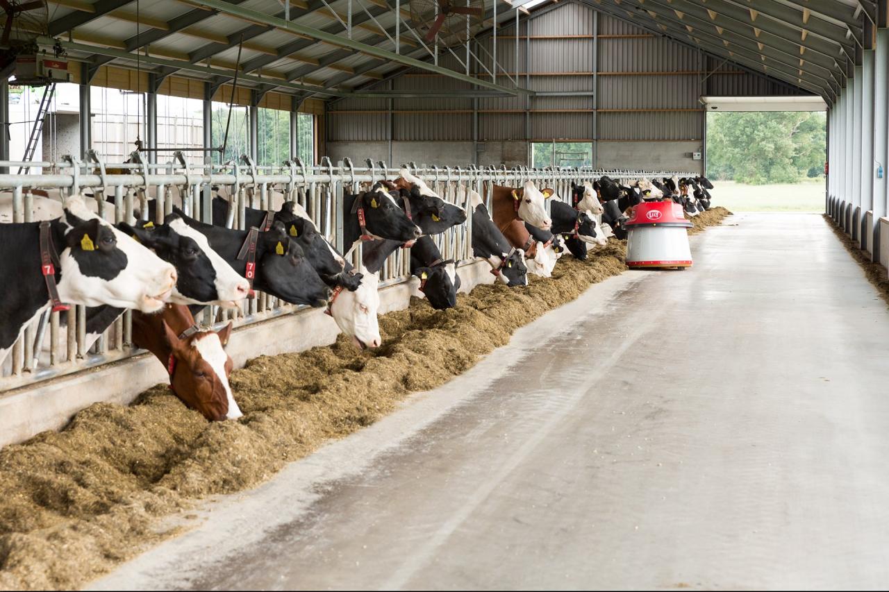 The technological evolution and future of generational ownership in dairy farming
