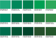 Green masters program goes hand in hand with evergreens core values