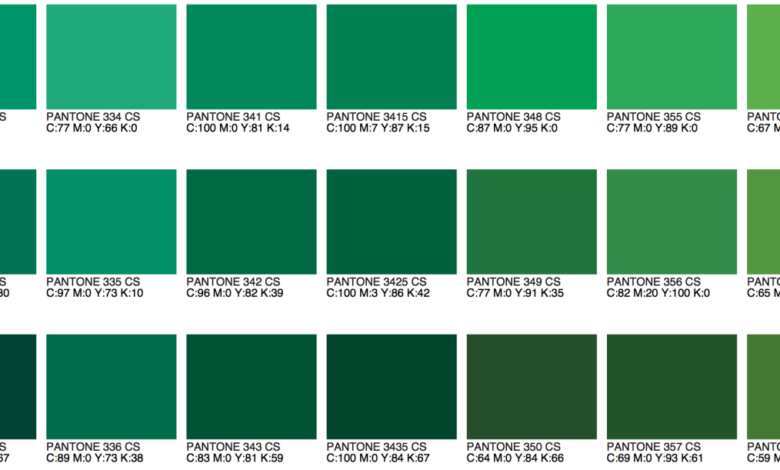 Green masters program goes hand in hand with evergreens core values