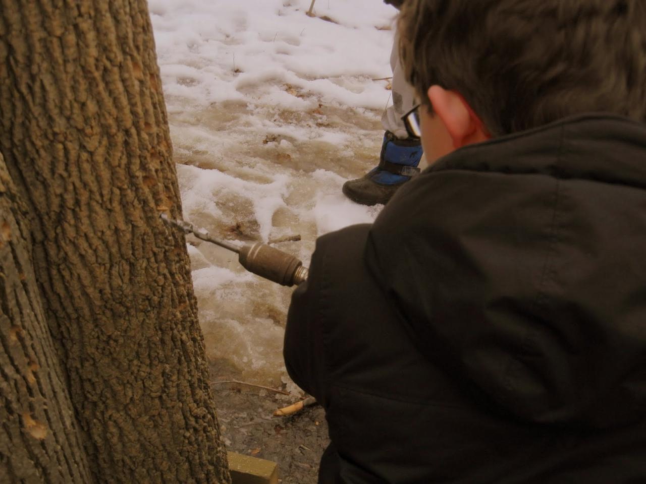 Syrup bush sugar making maple visit kids buying couldn away without some get we Inthewoods sugar bush gets sappy with maple syrup