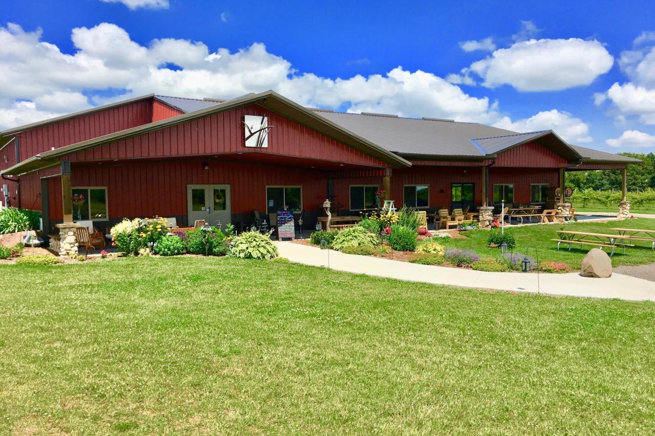 Ripon vines winery rushes