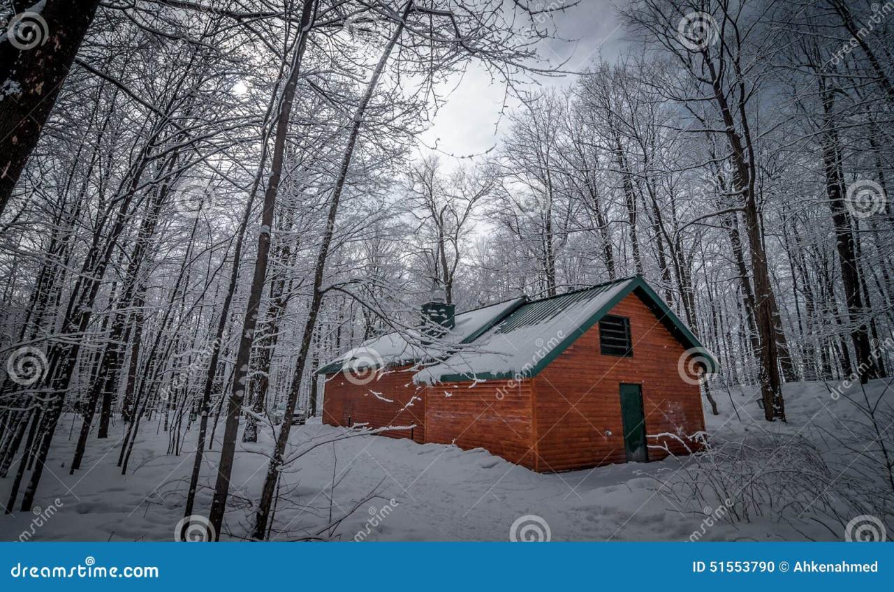 Maple syrup woods buckets sap trees winter preview prints Inthewoods sugar bush gets sappy with maple syrup