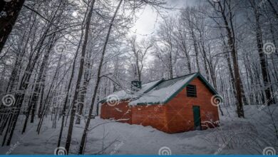 Inthewoods sugar bush gets sappy with maple syrup