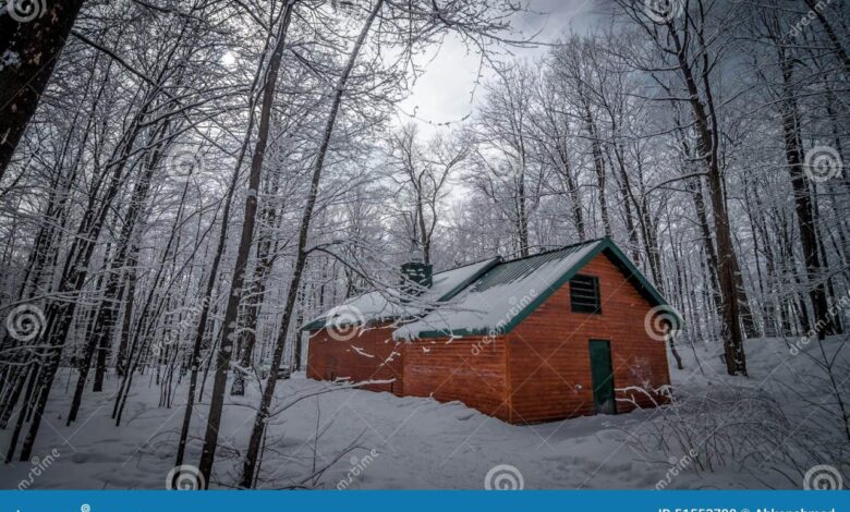 Inthewoods sugar bush gets sappy with maple syrup