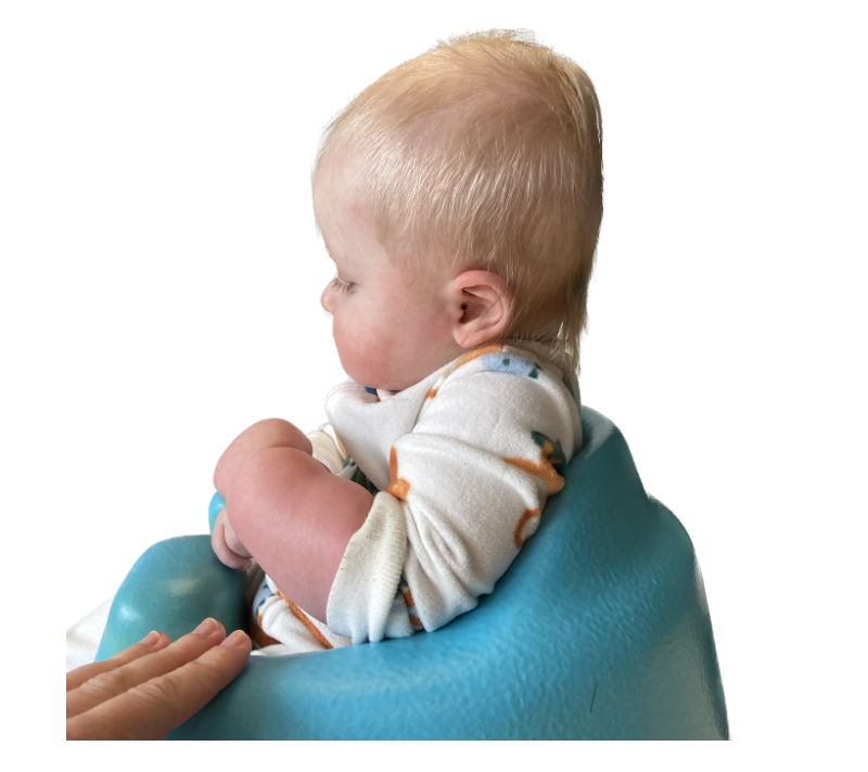 Baby bear cranial clinic your head shape experts