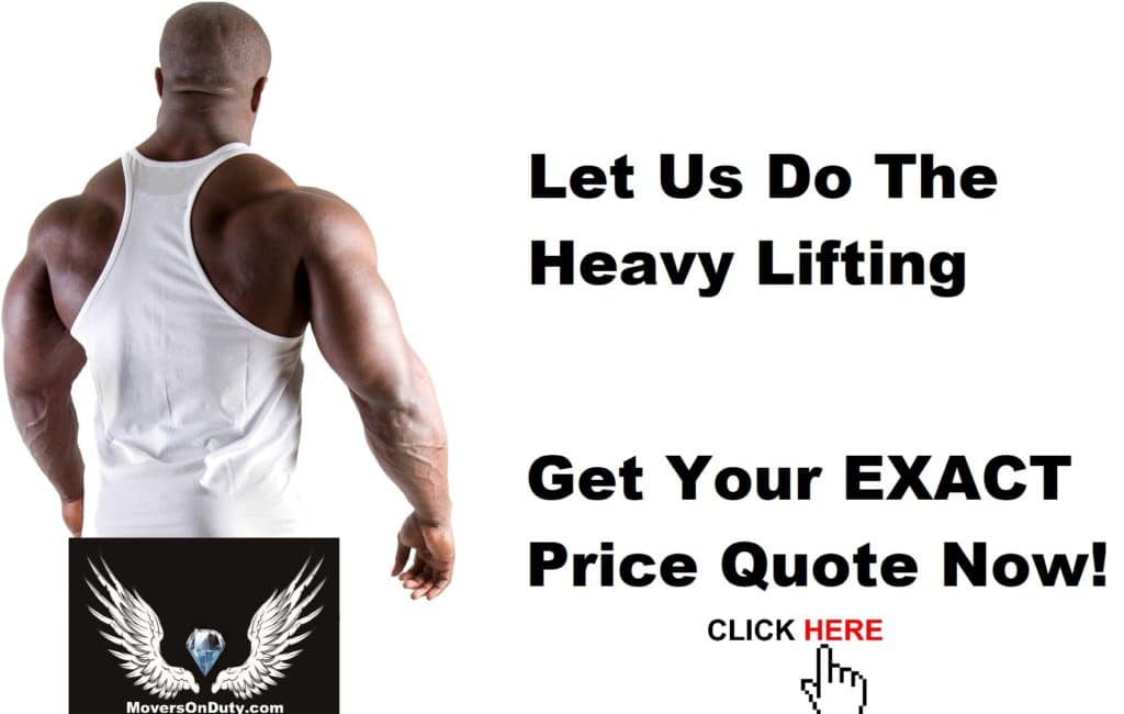 Need anything hauled dumped loaded removed leveled or filled roll with it can help