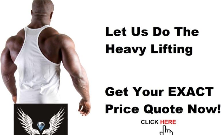 Need anything hauled dumped loaded removed leveled or filled roll with it can help