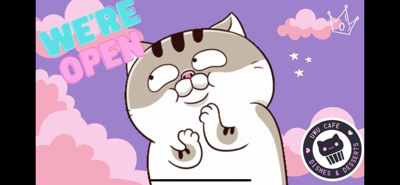 The cool place an kid inspired cafe now open in pulaski