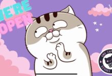 The cool place an kid inspired cafe now open in pulaski