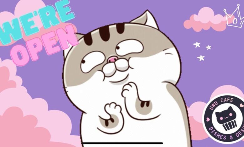 The cool place an kid inspired cafe now open in pulaski